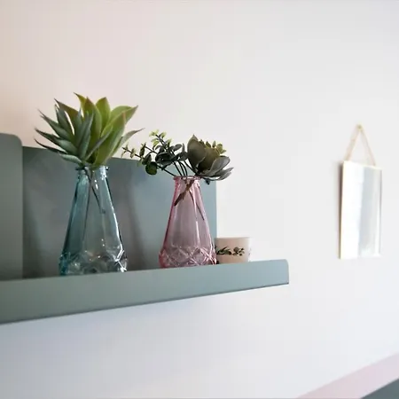 Apartment Le Riquet 204 - Hypercentre - Gare Toulouse