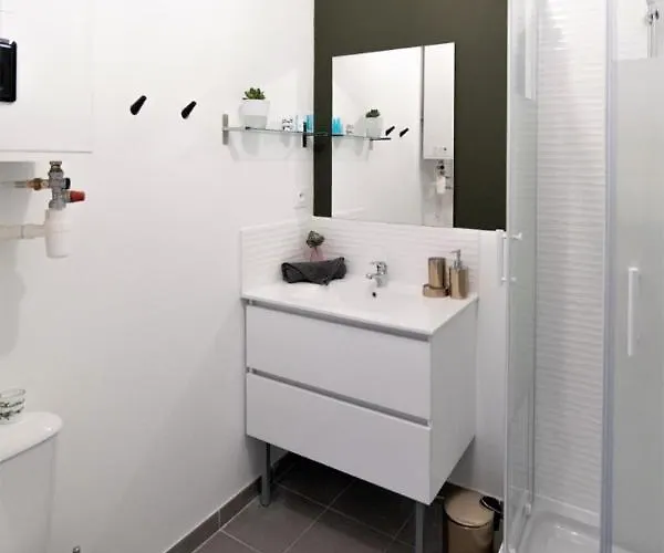 Le Riquet 204 - Hypercentre - Gare Daire Toulouse