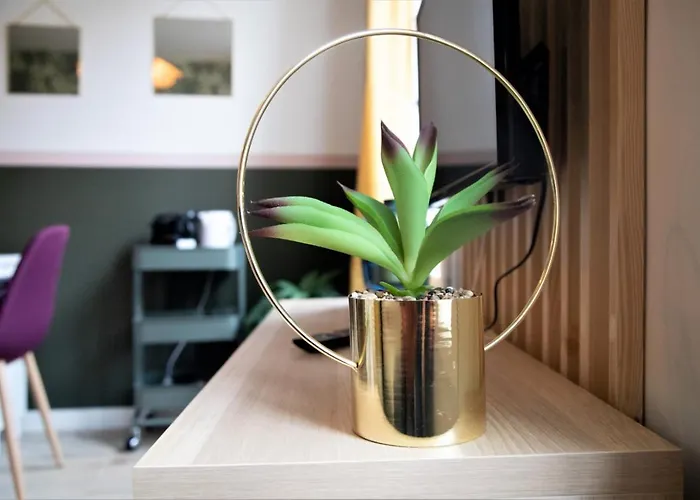 Le Riquet 204 - Hypercentre - Gare * Toulouse