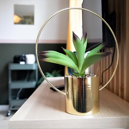 Le Riquet 204 - Hypercentre - Gare * Toulouse